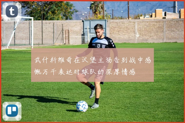 武什科维奇在汉堡主场告别战中感慨万千表达对球队的深厚情感